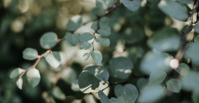 Counselling / Psychotherapy / Mental Health/Social Work