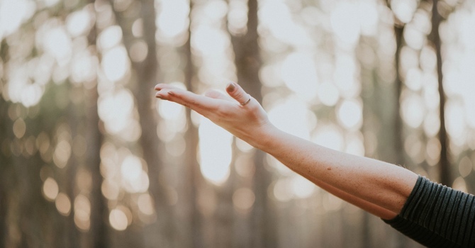 Counselling / Psychotherapy / Mental Health/Social Work